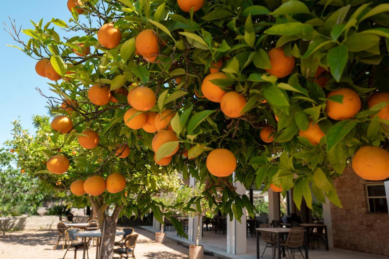 Can Arabi - Adults Only Puig D'en Valls Zewnętrze zdjęcie